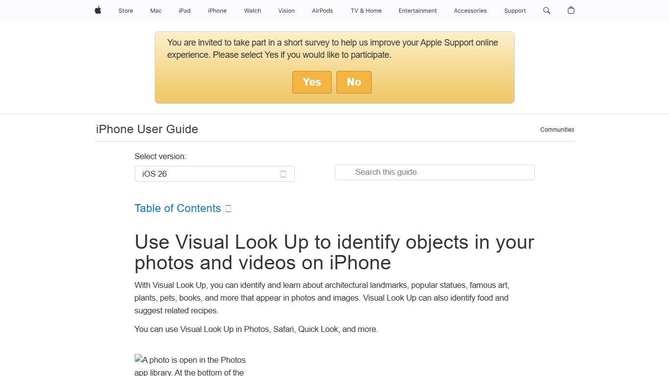 Use Visual Look Up to identify objects in your photos and videos on iPhone - Apple Support